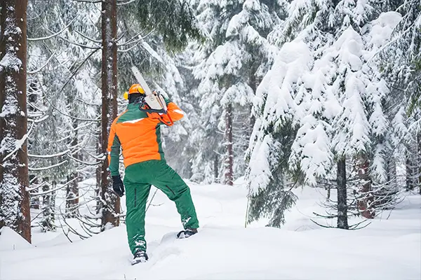 Forster im beschneiten Wald